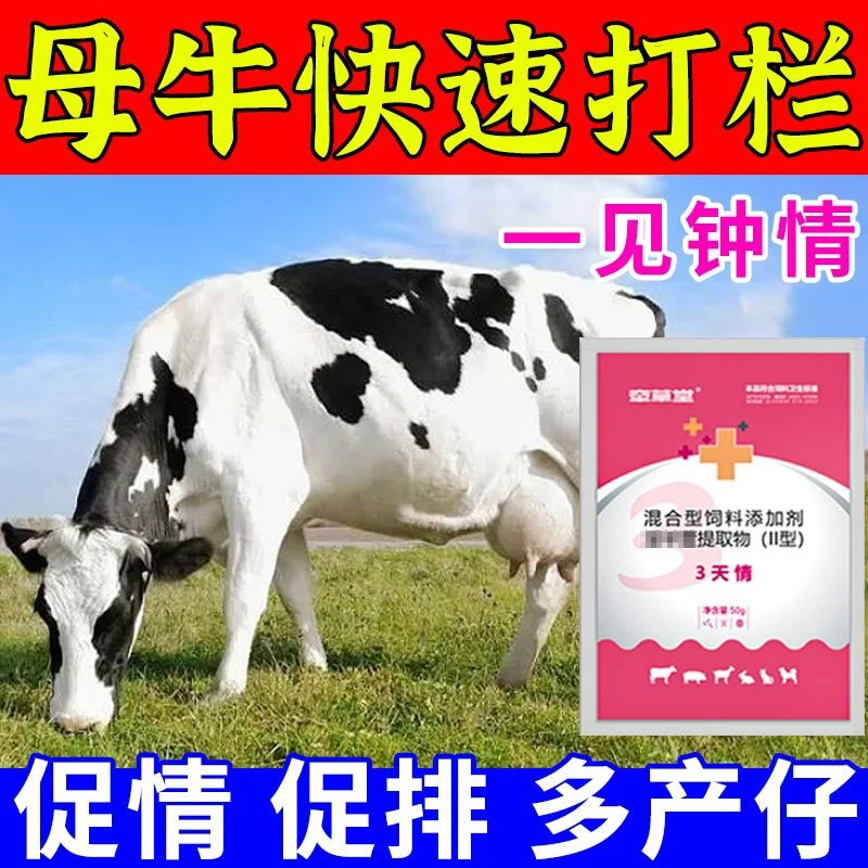 母牛快速打栏兽用三天情饲料添加剂母牛羊母猪促情促排多孕多产仔