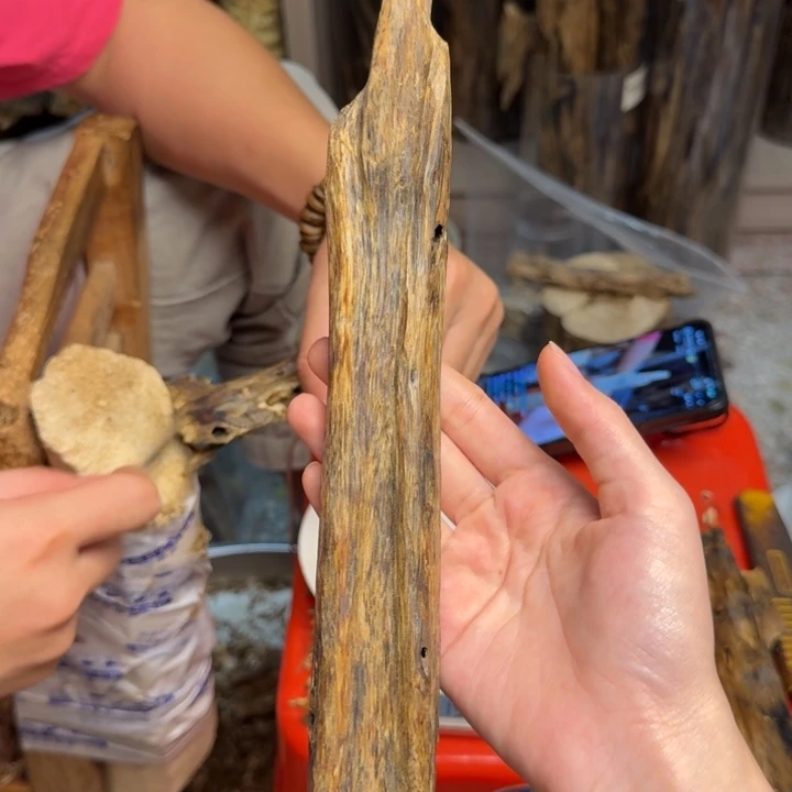 沉香碎屑沉香红金猊块料71克