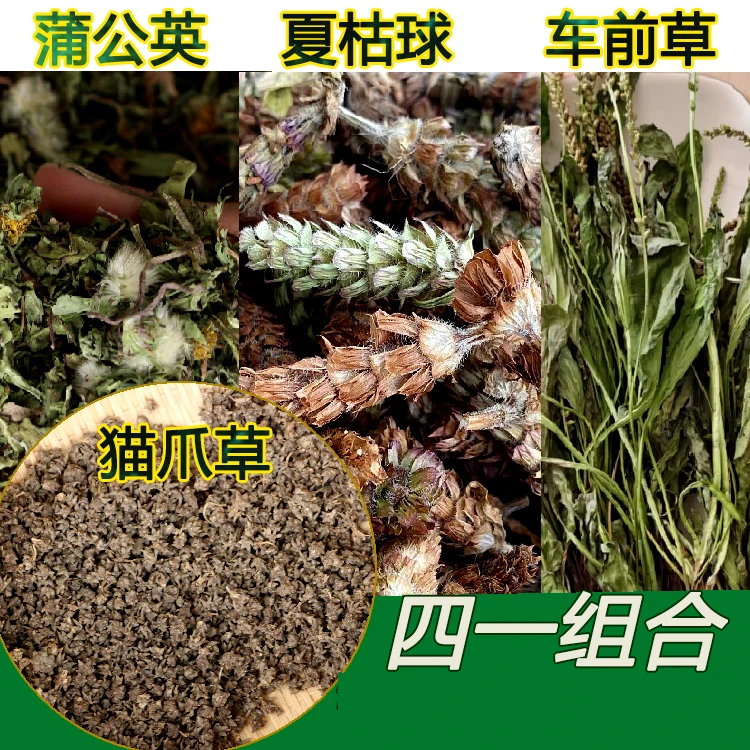猫爪草夏枯草夏枯球蒲公英车前草四合一组装当季新货农村凉晒无硫
