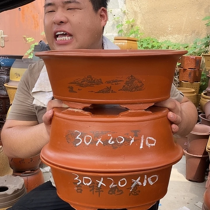 花盆紫砂紫砂的一天都在这里的
