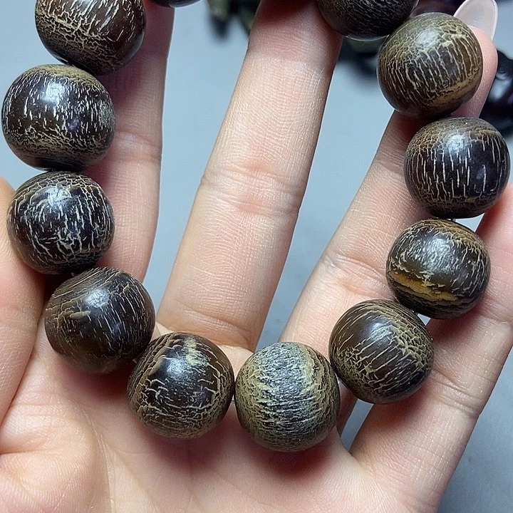 大果紫檀（缅甸花梨）