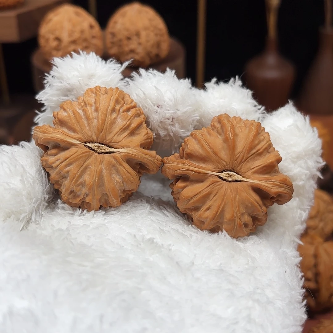 匠***源手串/手链核桃全品白狮子