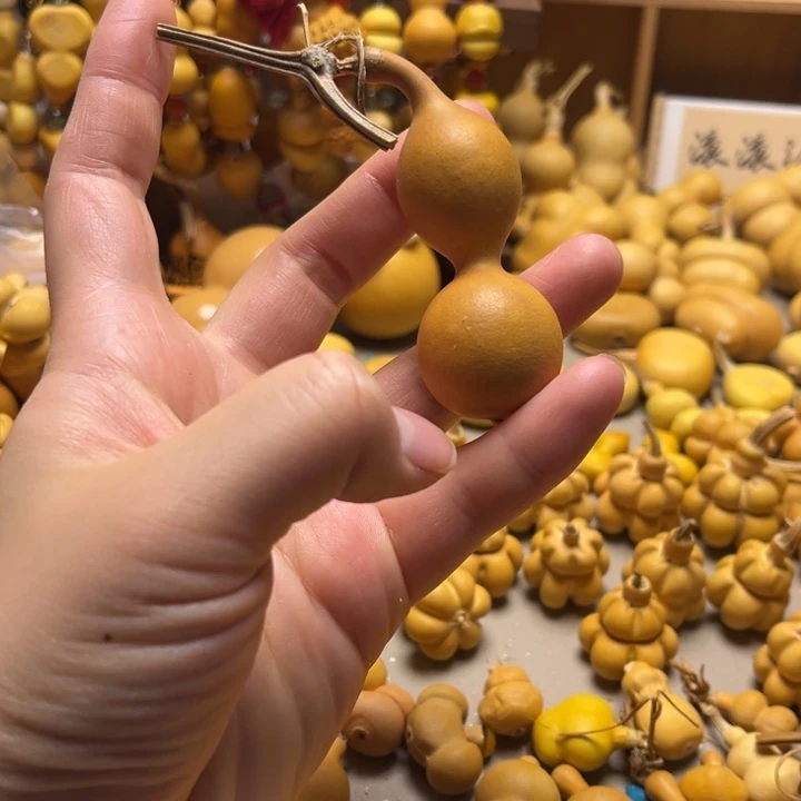老皮蚂蚁葫芦葫芦