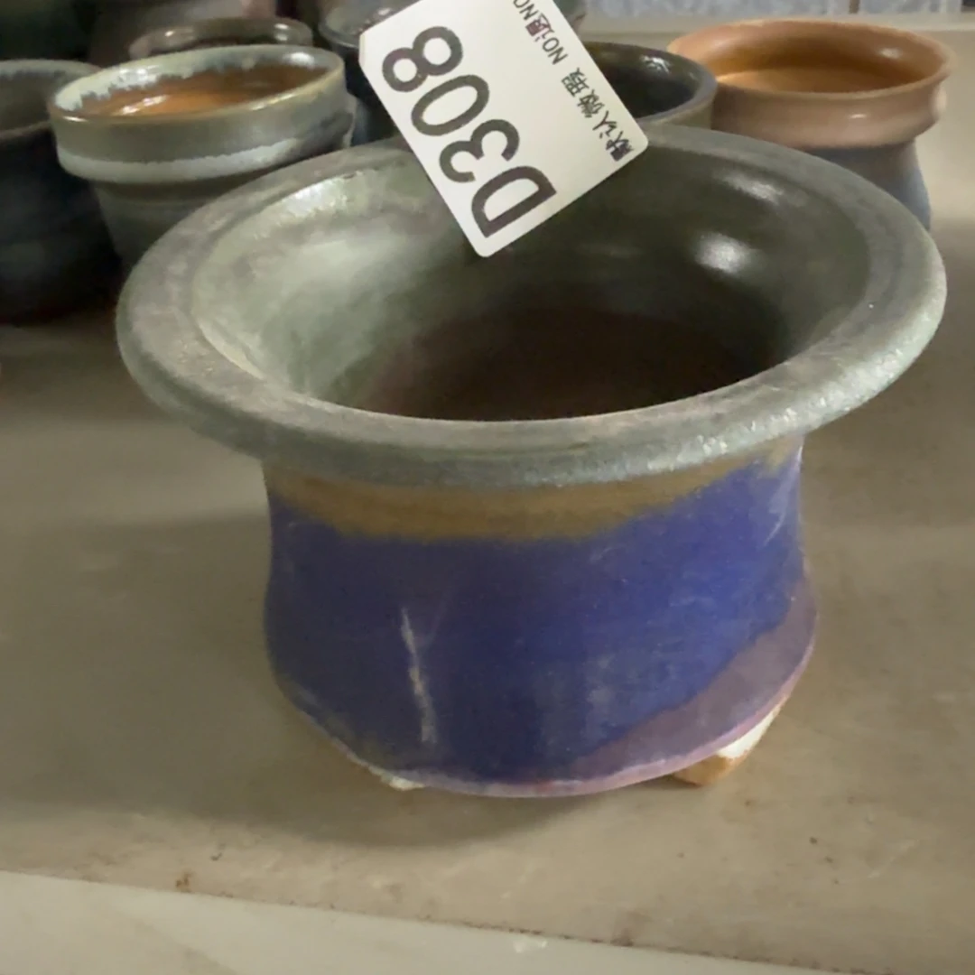 重庆小燕子欢迎大家308