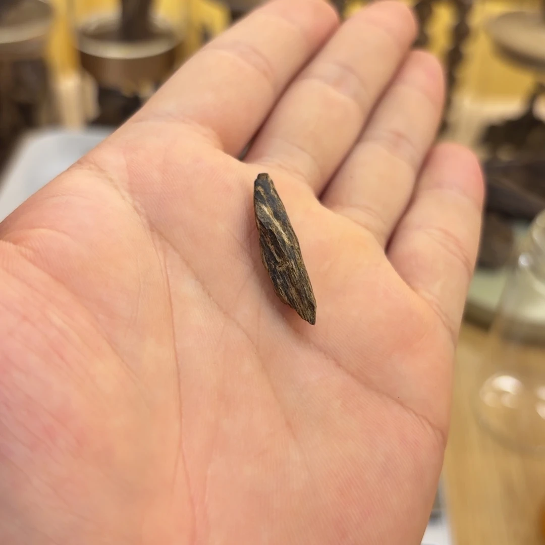 沉水树心树根油0.48克