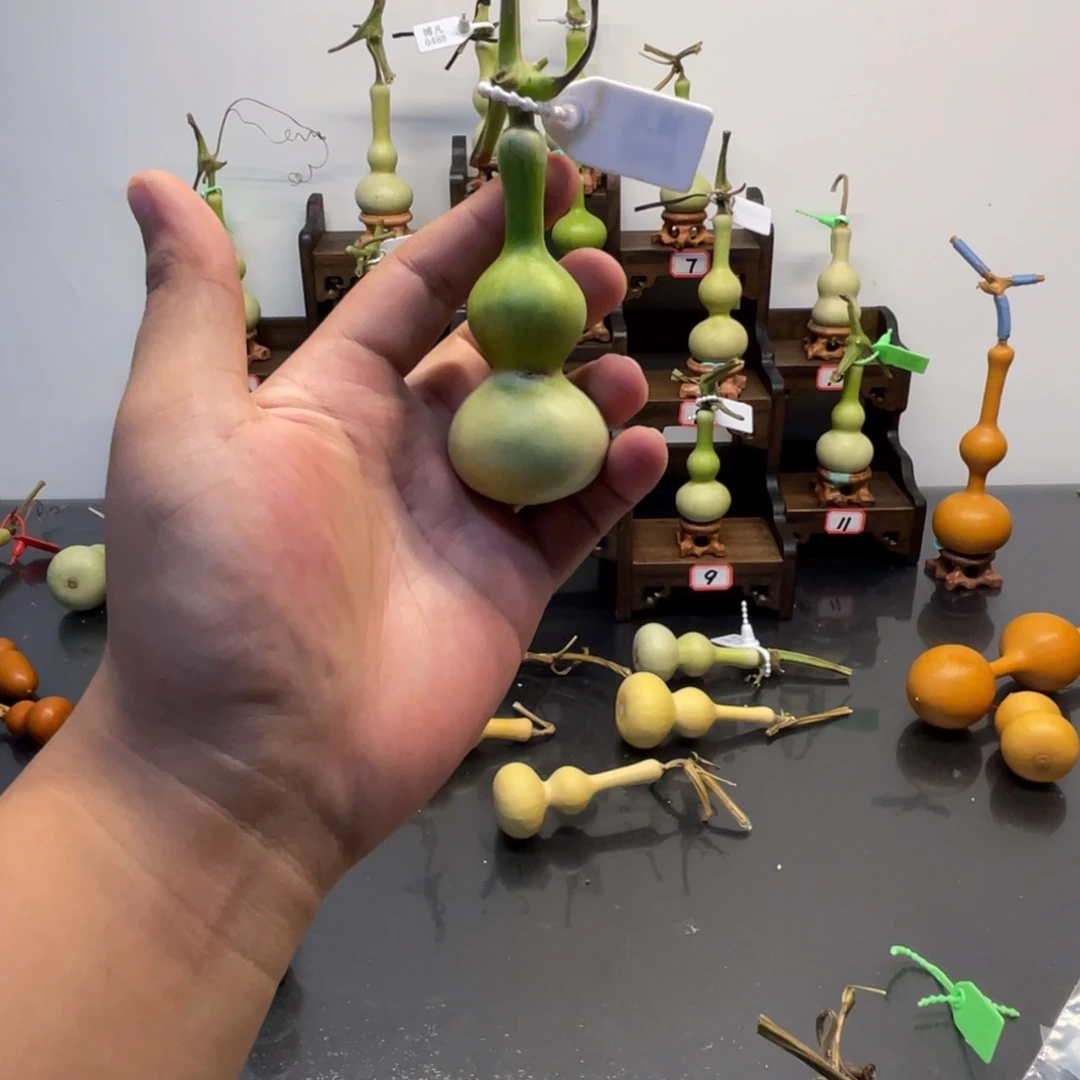 E***晴感谢大哥支持兄弟