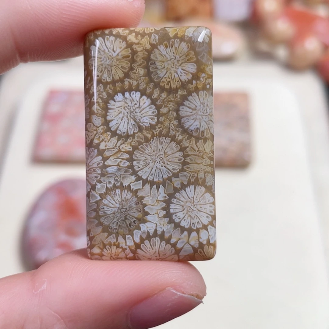 【闪购商品】未镶嵌手串硅化玉