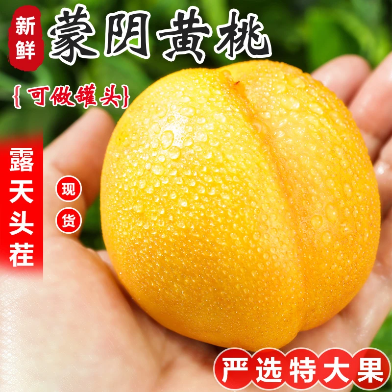 黄油桃新鲜水果山东蒙阴蜜桃现摘整箱当季黄肉黄心黄金油桃5斤装