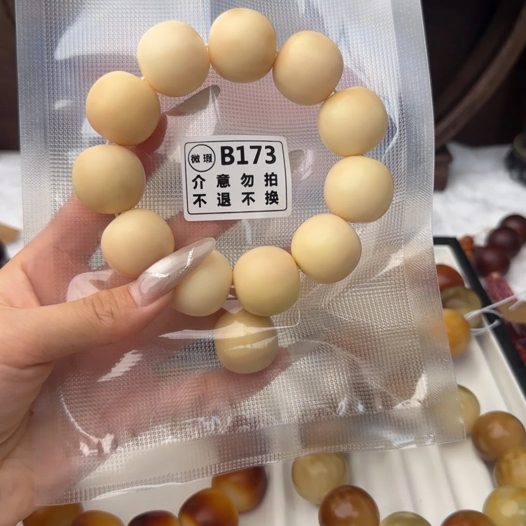 菩提根/象牙果吊坠曹**、173