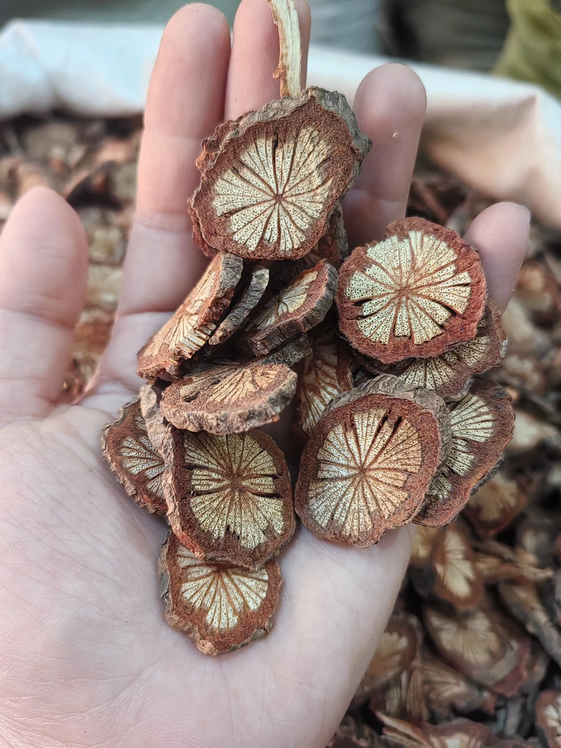 野生中药材大血藤.血塞通切片干货