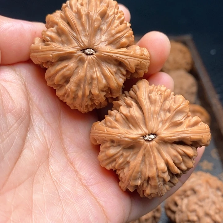 把件文玩核桃虎头王43尺
