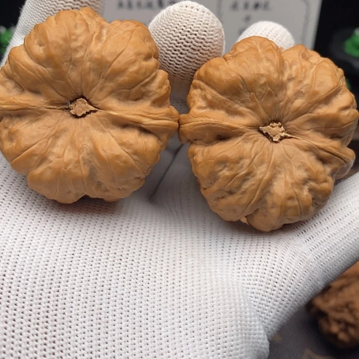 全品山地蛤蟆头46尺寸