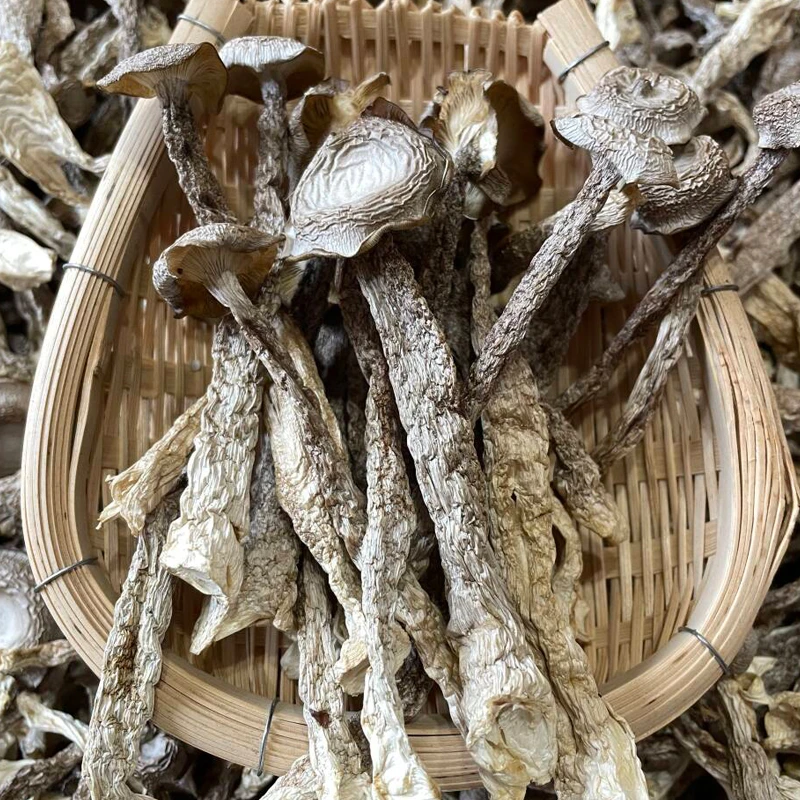 【鹿~茸~菇】 新货好货好吃干货珍品云南菌菇