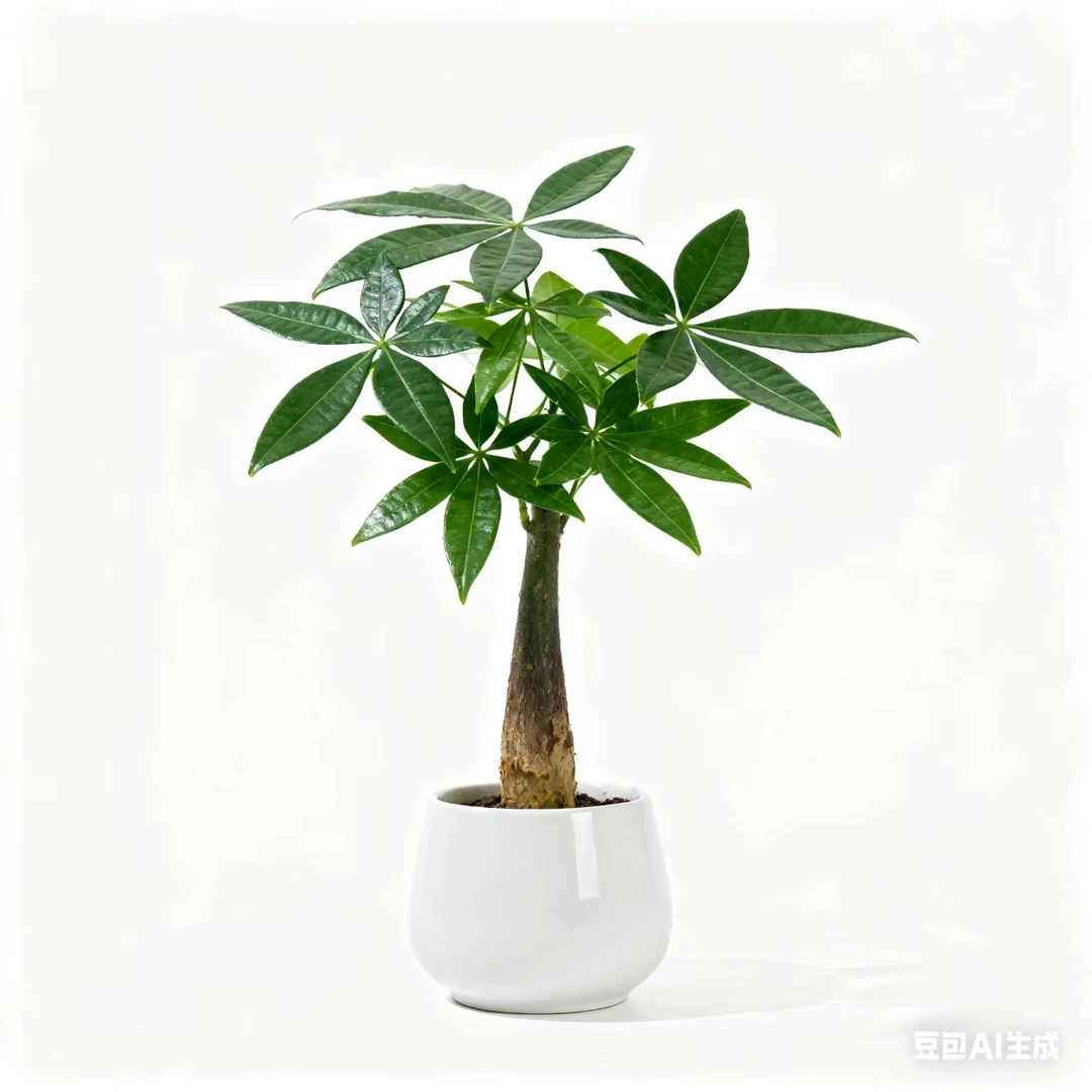 小发财树五福兴义同城配送