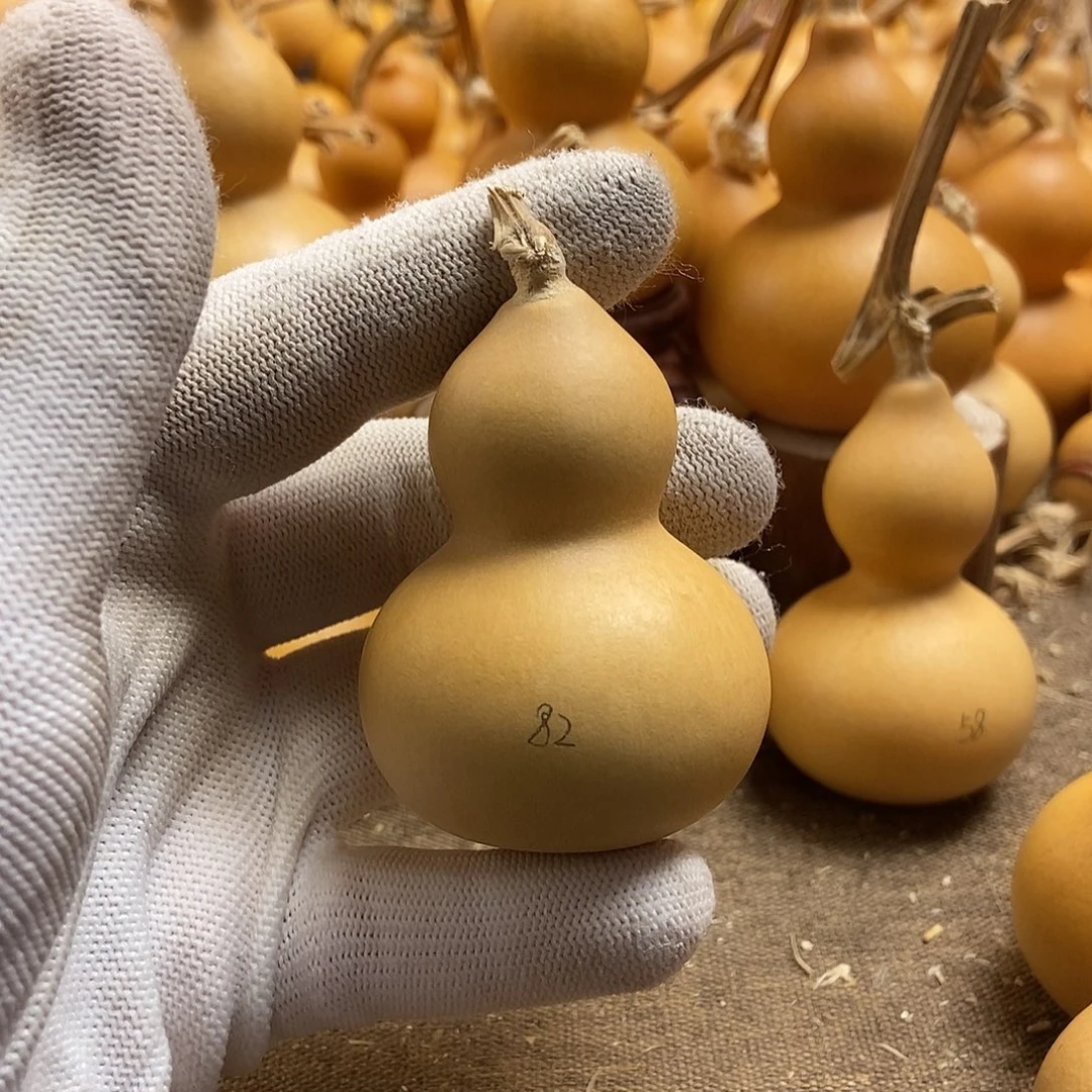 文玩葫芦 完美主义者 慎拍82