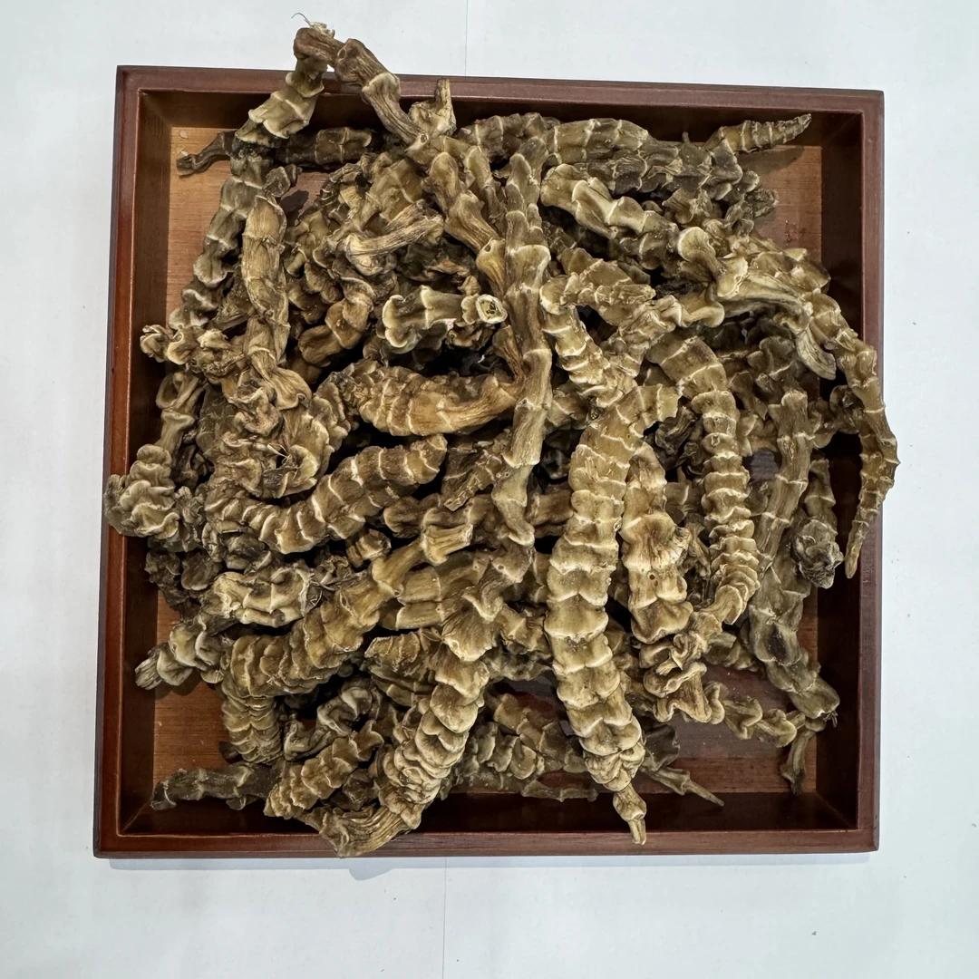 臻山味土特产   地~龙~森~菇