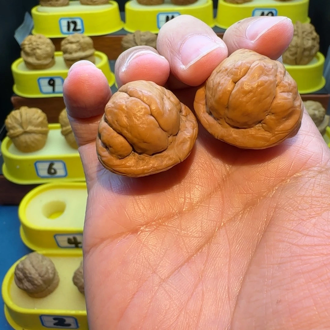 戰****桃核把件金刚鹦蟾