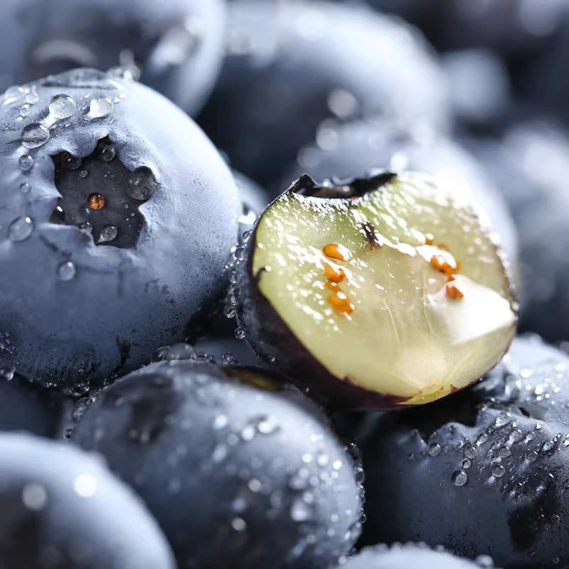 【老板娘夏天专属】云南高山蓝莓花香蓝莓脆甜口6盒装 125g/盒