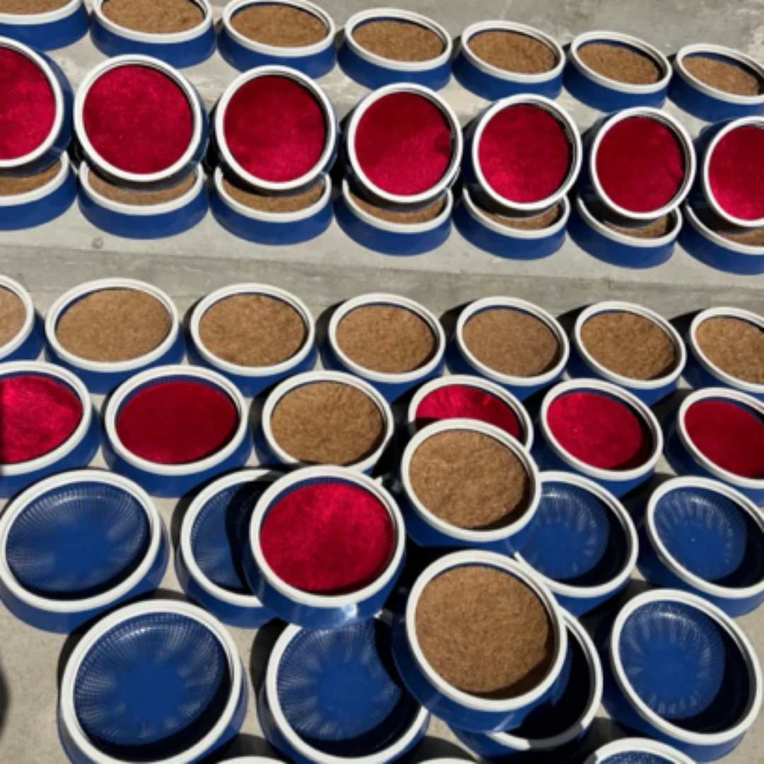 塑料鸽子窝 加白边窝