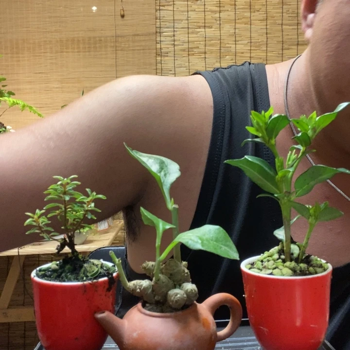 一物一拍所见即所得151