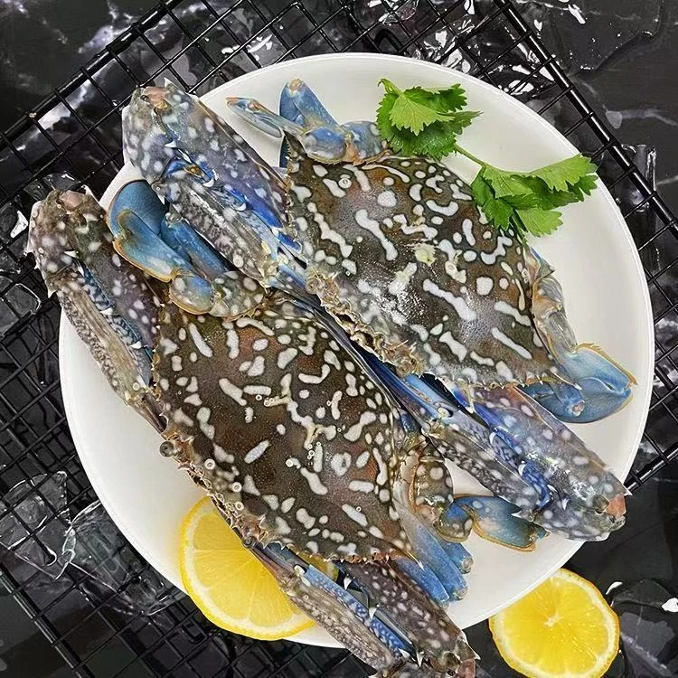 鲜活花蟹/500g