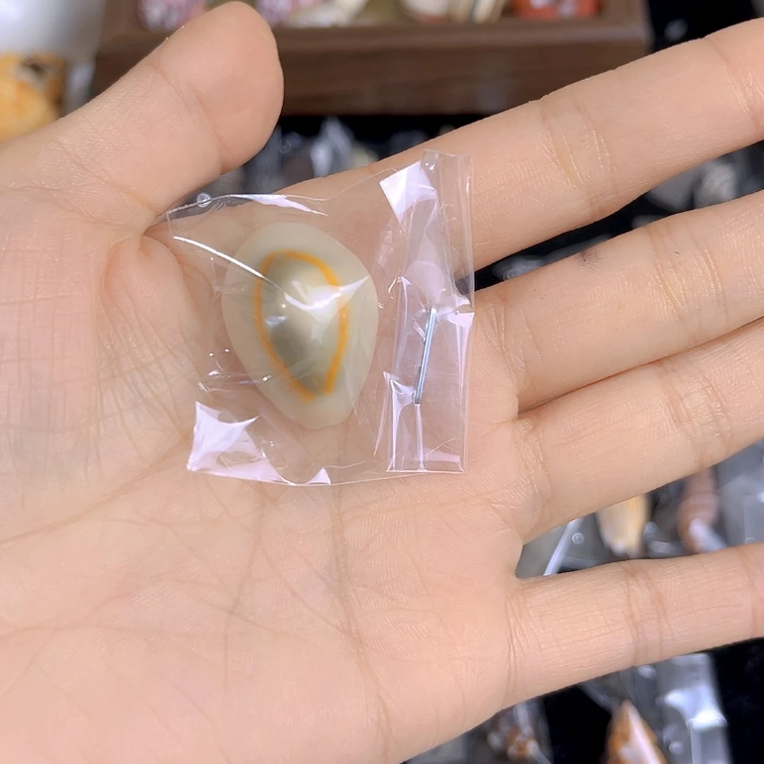 大理石磁石十**C天然贝壳特价款不退不换