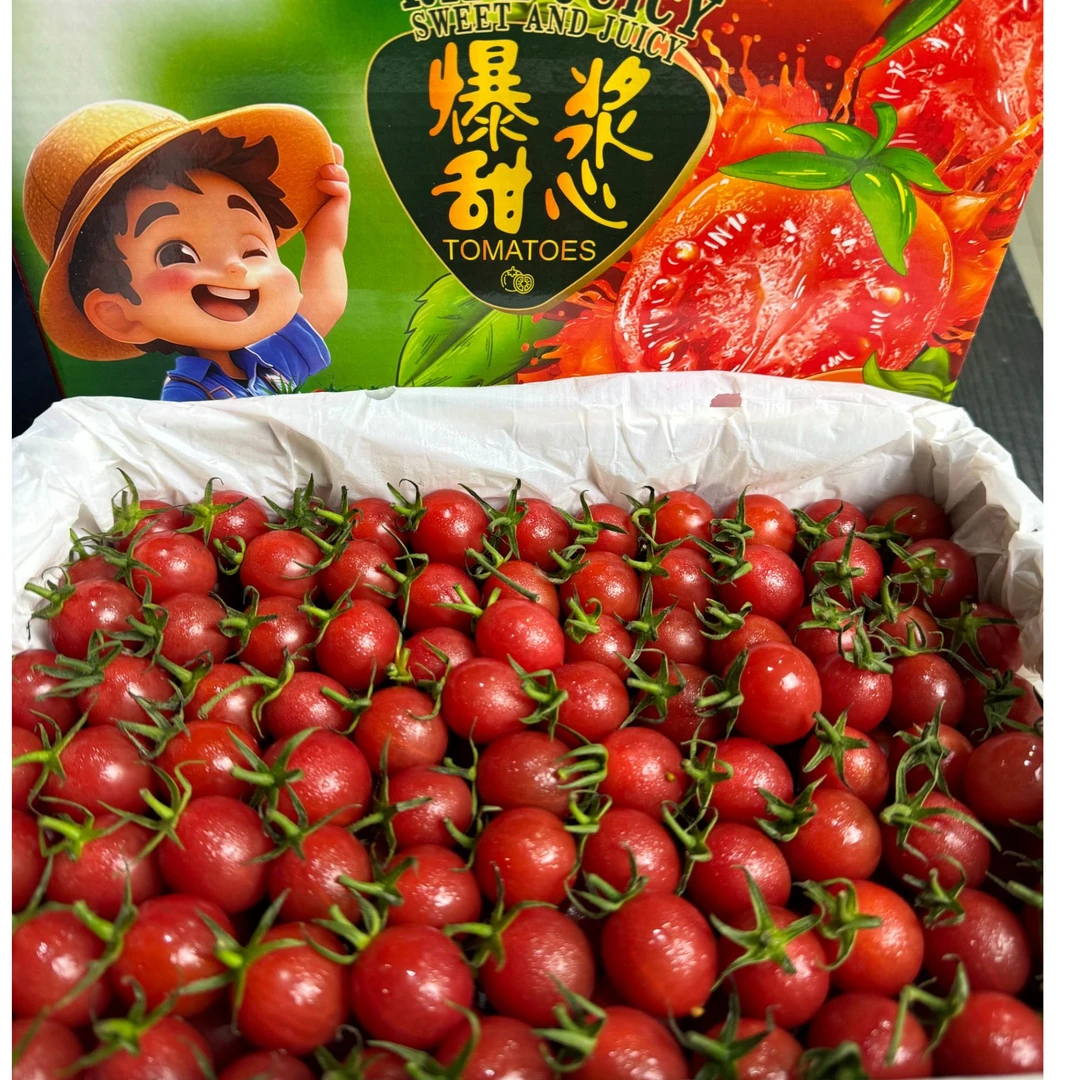 【三沣自营】爆浆甜心小糖丸圣女果！广东电白千禧果！京东快递！