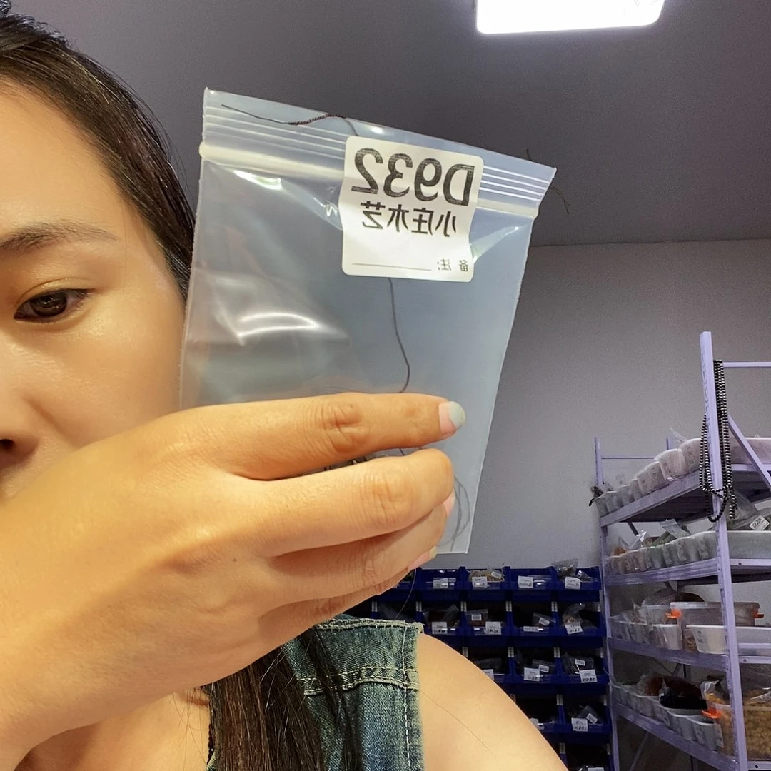 【闪购商品】黑檀木932