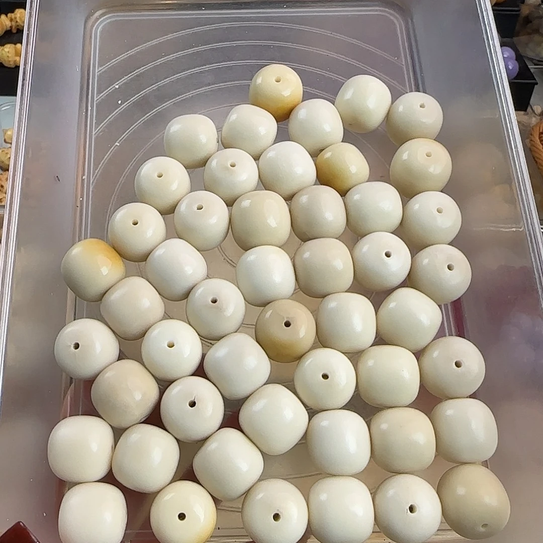 菩提根/象牙果手串微瑕牙果卡20左右桶49颗