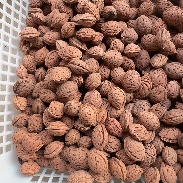 三***夫手串/手链核桃桃核