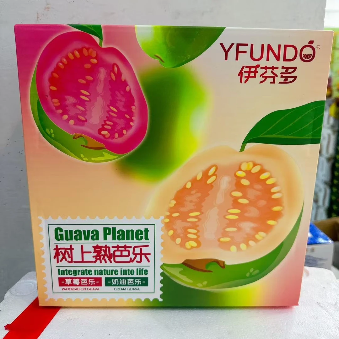 双拼芭乐礼盒 毛重3.5斤左右