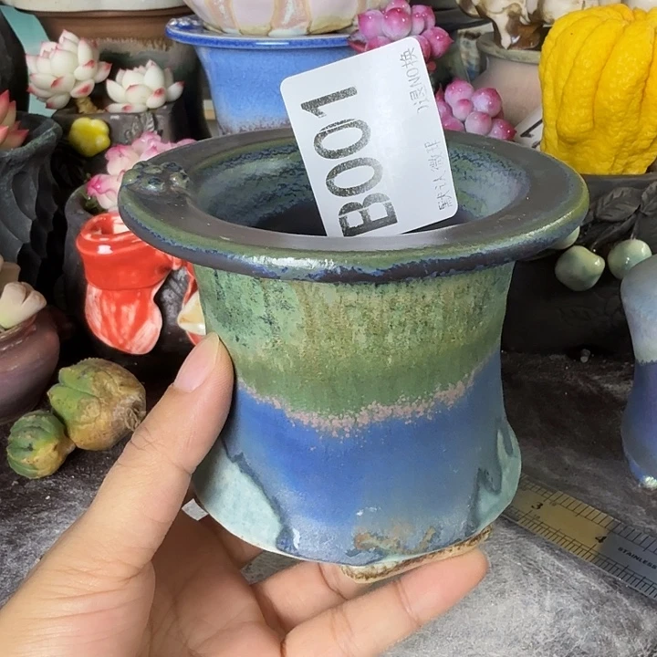 重庆小燕子欢迎大家001
