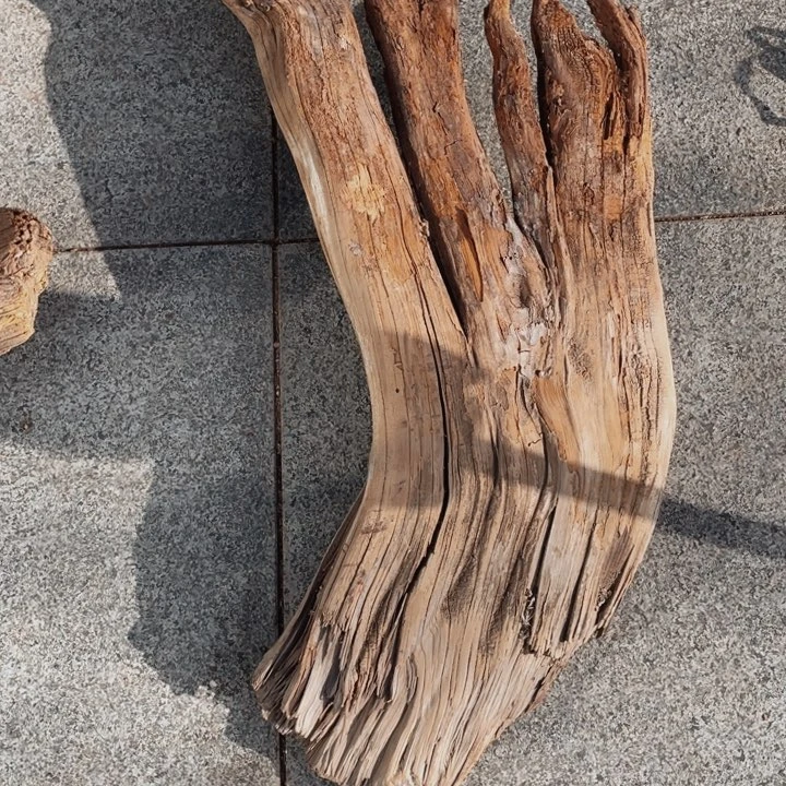 有机玻璃无*木木木木木木