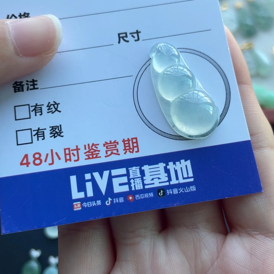 翡翠未镶嵌颈饰冰豆