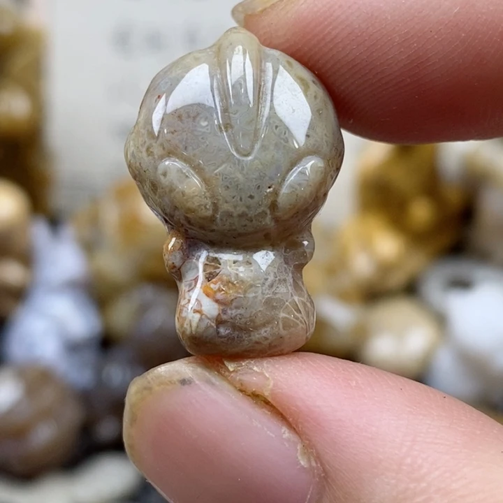 颈饰未镶嵌硅化珊瑚（珊瑚玉）有瑕 小