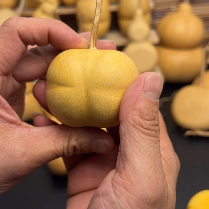 玛***猫5666.6.666666666699