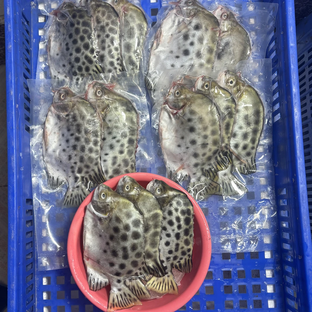 本港野生海捕金鼓鱼肉质鲜嫩无细刺顺丰冷链发货