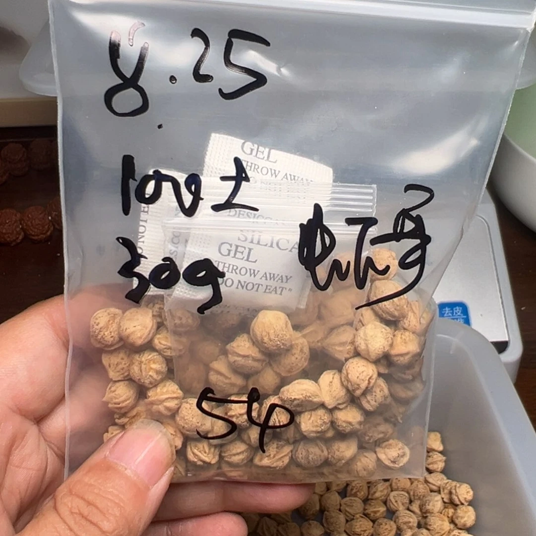 柏香籽/百香籽吊坠虾*烧