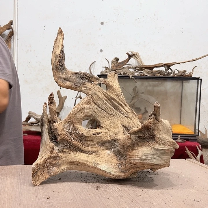 柏木崖***工我们的生活是以自己为中心