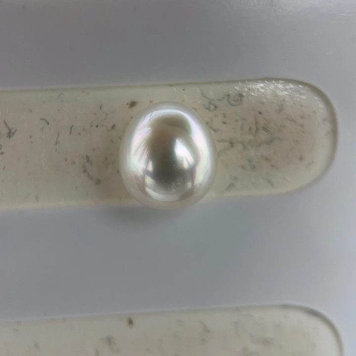 未镶嵌海水珍珠耳饰10.8mm 澳白 宝石光感H7