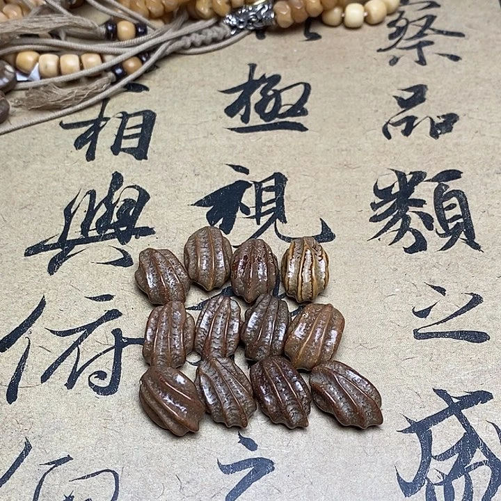 菩提根/象牙果手串于*善龙脊菩提原籽20+