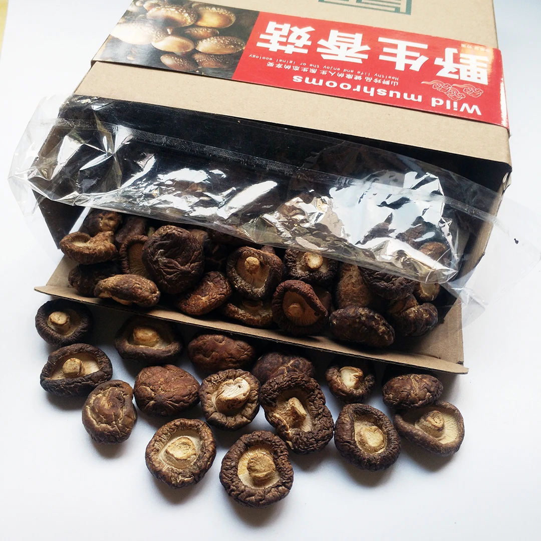 【新年礼盒】东北香菇干货肉厚无根长白山金钱菇正宗土特产礼品