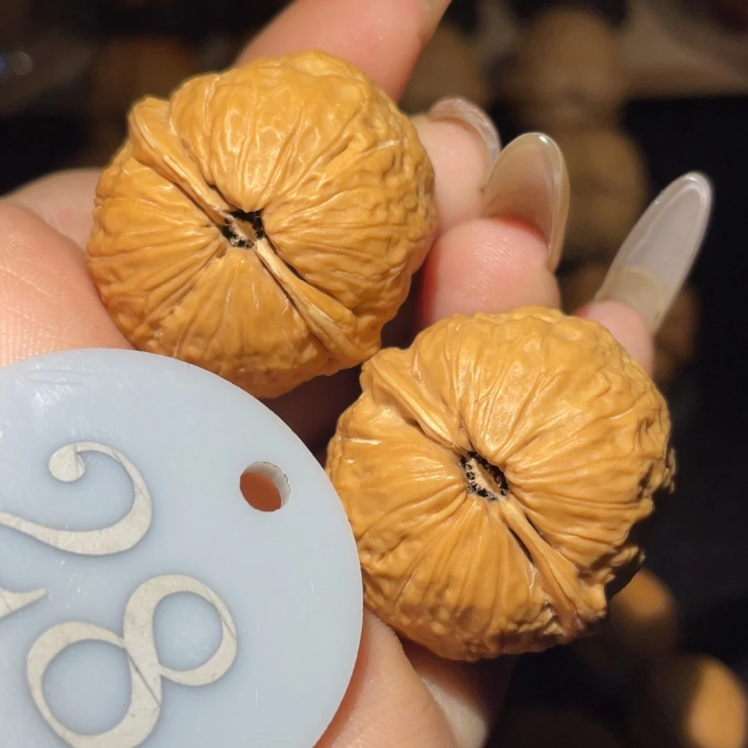 肉丸子31尺寸核桃