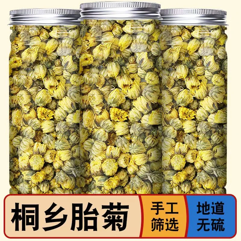 新货胎菊桐乡本地胎菊菊花茶正宗新胎菊王杭白菊搭配枸杞子罐装
