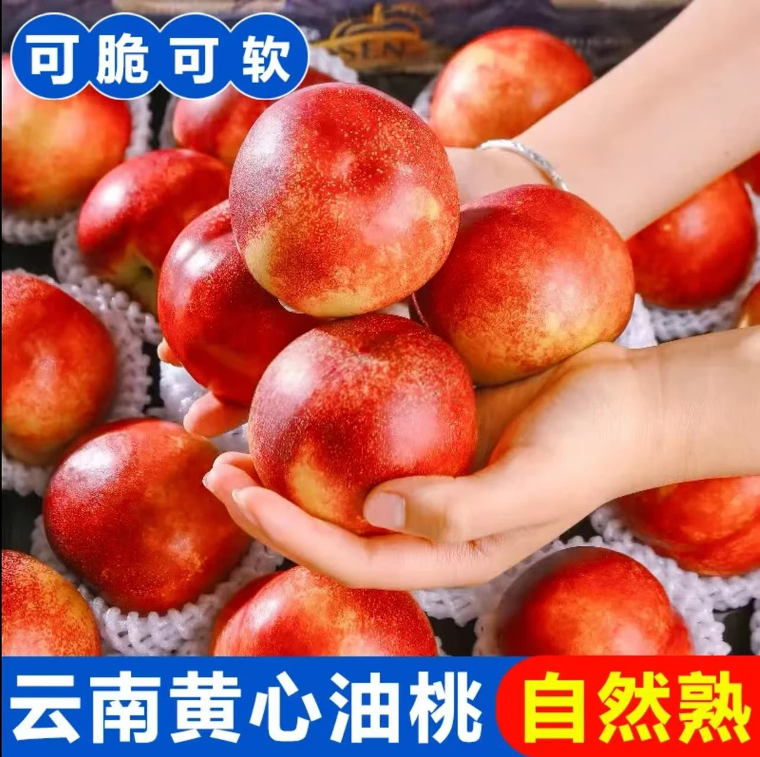 黄心小油桃5斤露天应季头茬果脆甜多汁现摘现发坏果桃子包赔