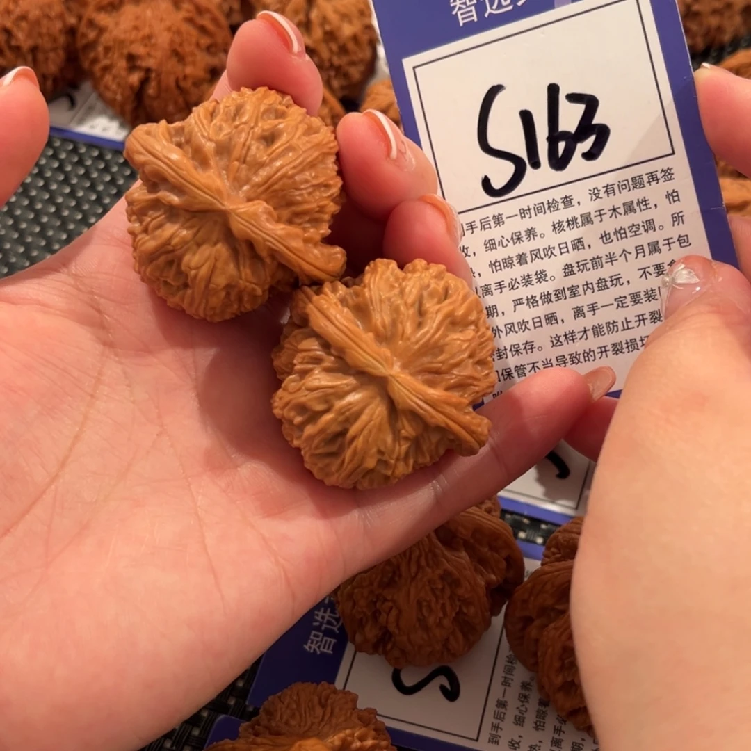 核桃S163号白狮子41尺