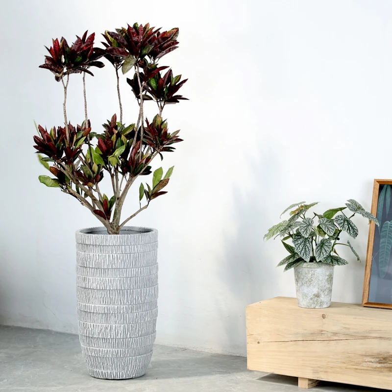 复古水泥落地黑金刚大花盆极简杯型软装大号青棠绿植花器客厅民宿