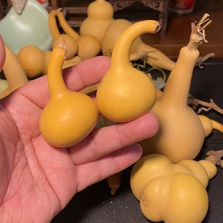 小***光精品葫芦手把葫芦23