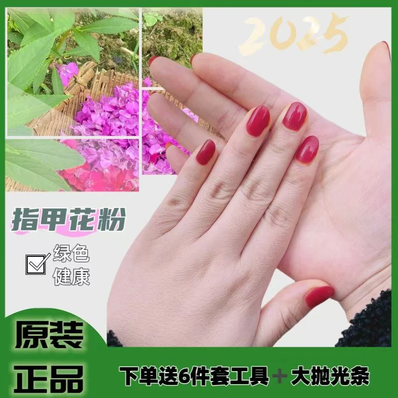 D[60克送工具+防溢指套]红色植物凤仙草指甲花干花粉小桃红女好甄