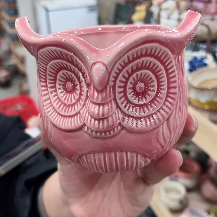 陶瓷凑单10元发货！